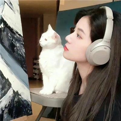 飞驰的尾箱
