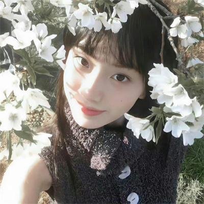 红伶梦